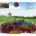 playground companies