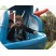 kids Outdoor play