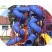 kids Outdoor playground