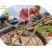backyard playground equipment
