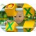 kids Outdoor playground  kids Outdoor playground